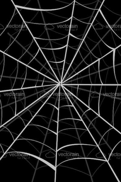Spider Web Background in Black and White